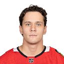 Nikita Zaitsev